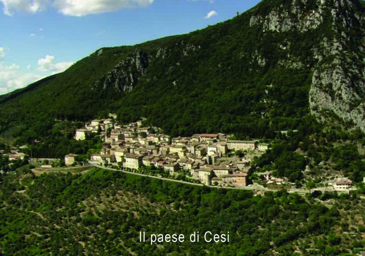 Foresteria Terra Majura Terni Exteriör bild